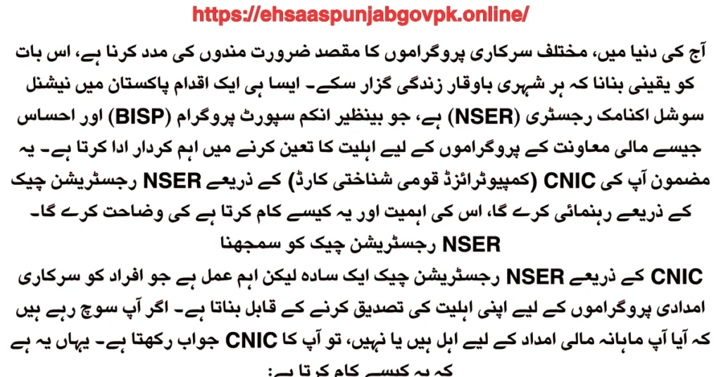 NSER Registration Check by CNIC